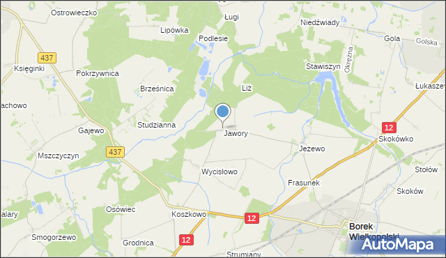 mapa Jawory, Jawory gmina Borek Wielkopolski na mapie Targeo